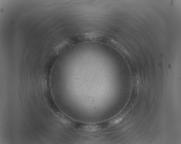 X0000051260615200506241614