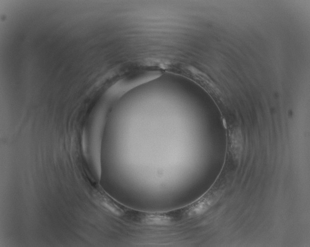X0000051260617200506241614