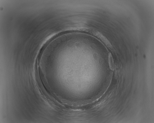X0000051260628200506241613