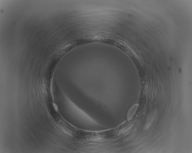 X0000051260643200506241613