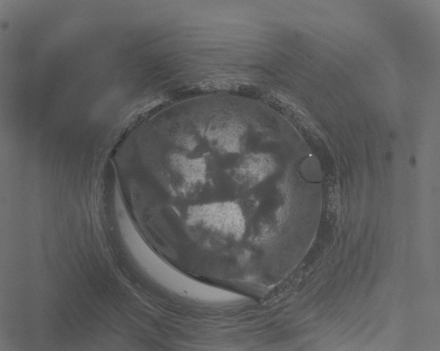 X0000051260687200506241612