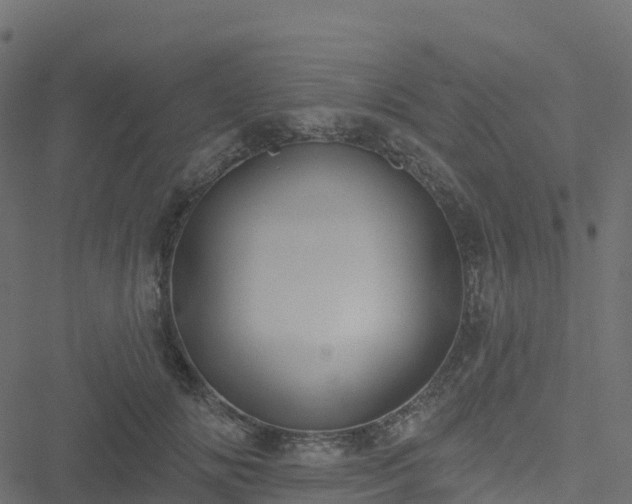 X0000051260702200506241612