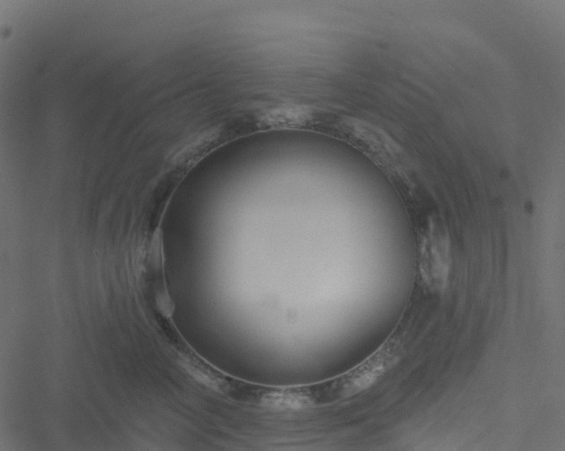 X0000051260714200506241612