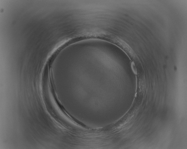 X0000051260722200506241611