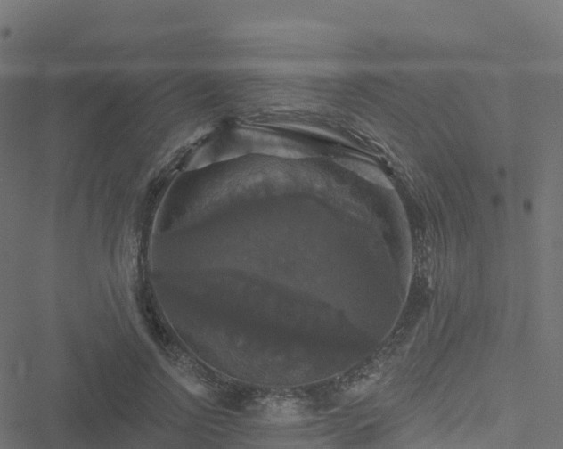 X0000051260742200506241611