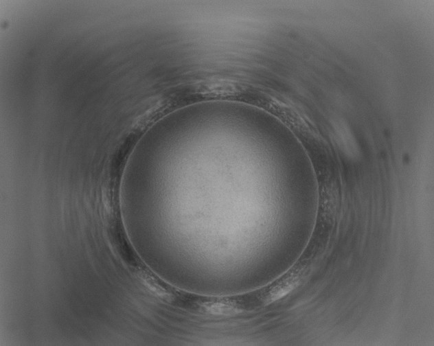 X0000051260755200506241612