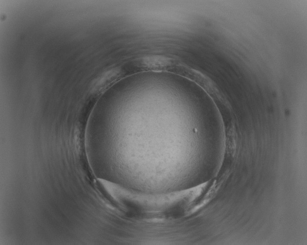 X0000051260762200506241612