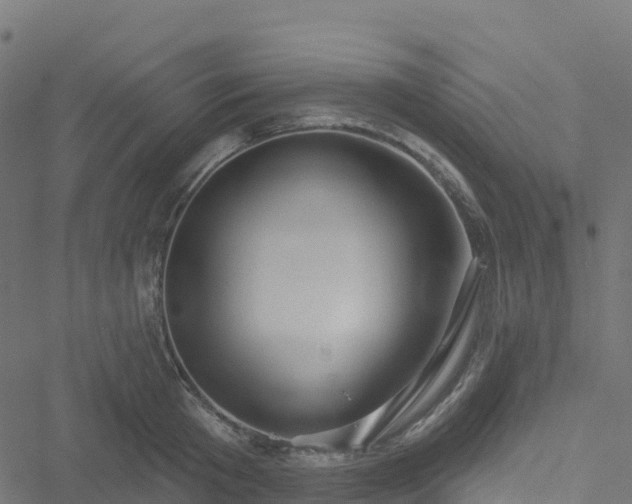 X0000051260801200506241611