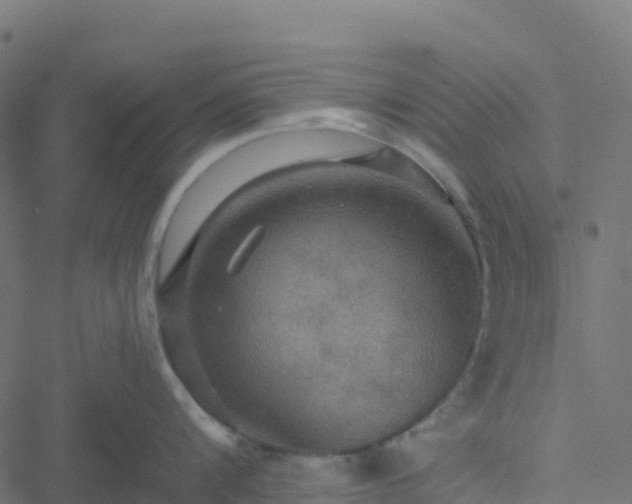 X0000051260816200506241610