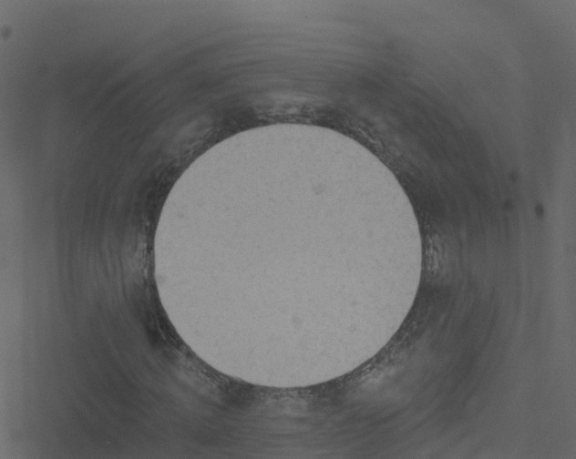 X0000051260820200506241610