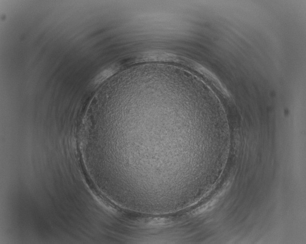 X0000051260841200506241610