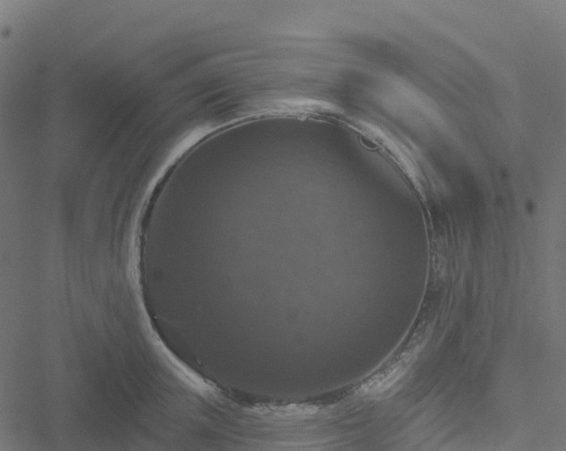 X0000051260851200506241610
