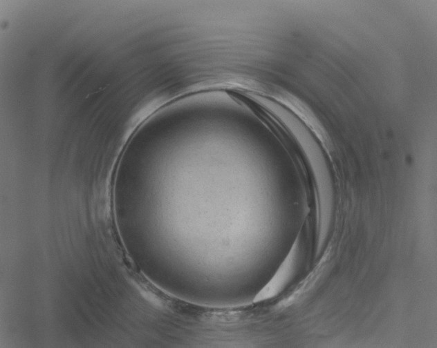 X0000051260858200506241610