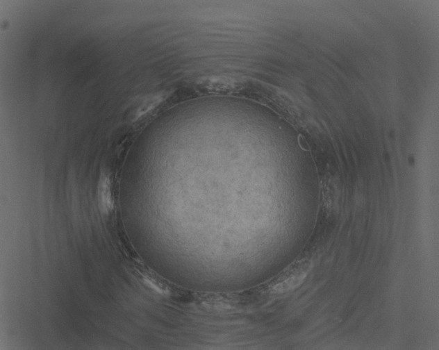 X0000051260962200506241608