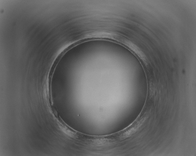 X0000051260988200506241607