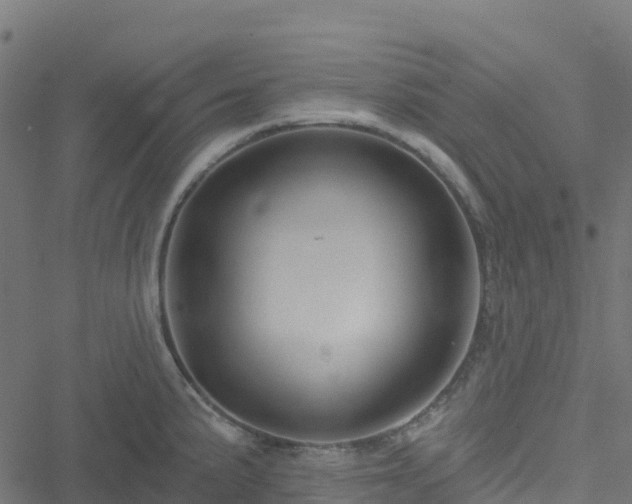 X0000051261191200506241604