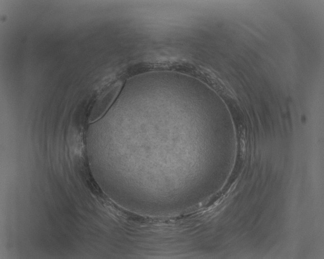 X0000051261204200506241603