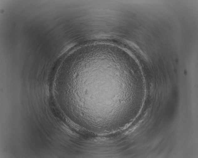 X0000051261209200506241603