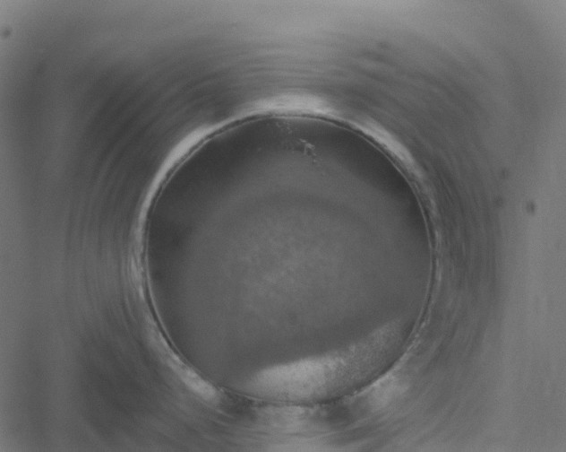 X0000051261248200506241604