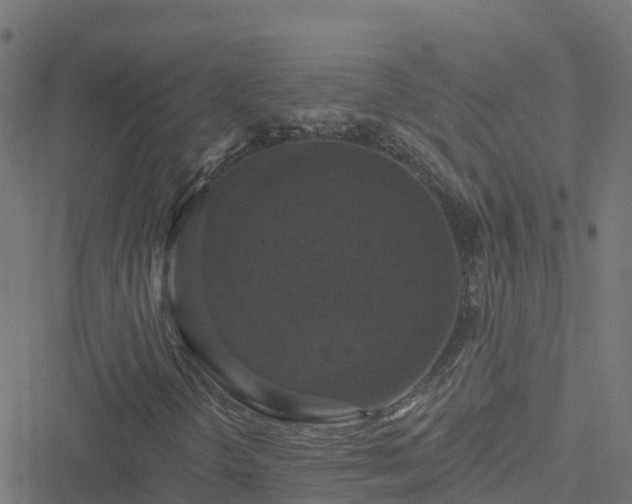 X0000051261298200506241602