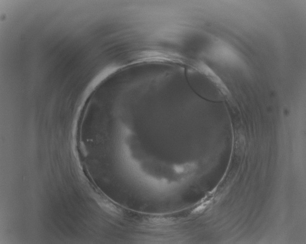 X0000051261427200506241600
