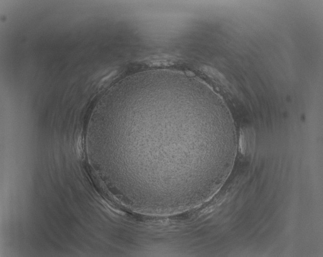 X0000051261444200506241600