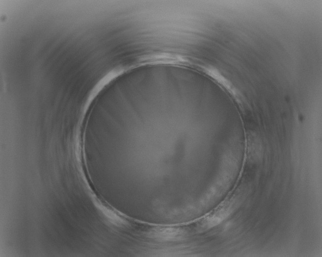 X0000051261474200506241559