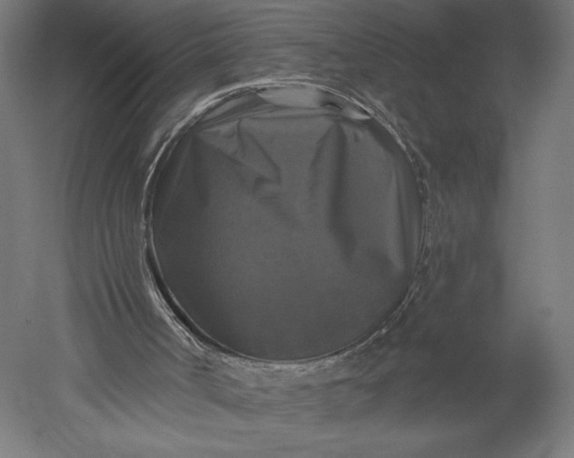 X0000051260002200507011731