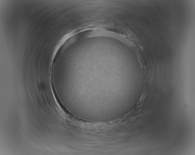 X0000051260003200507011731
