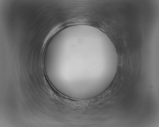X0000051260004200507011731