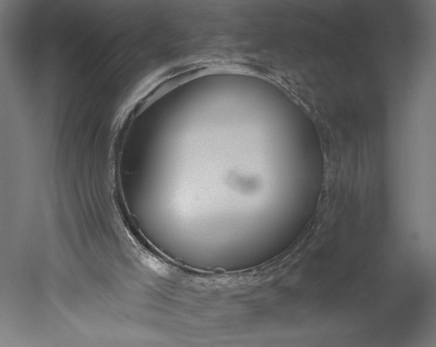 X0000051260005200507011731