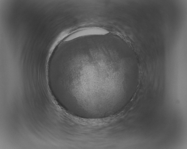 X0000051260006200507011731