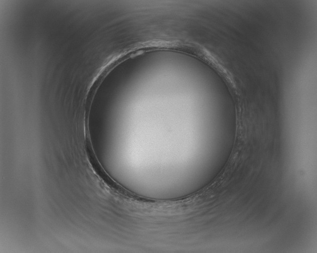 X0000051260011200507011731
