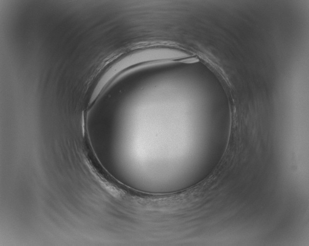 X0000051260013200507011730