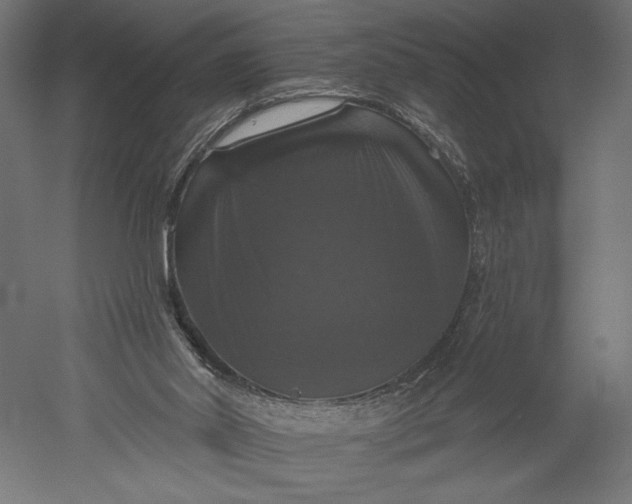 X0000051260014200507011730