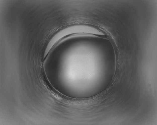 X0000051260017200507011730
