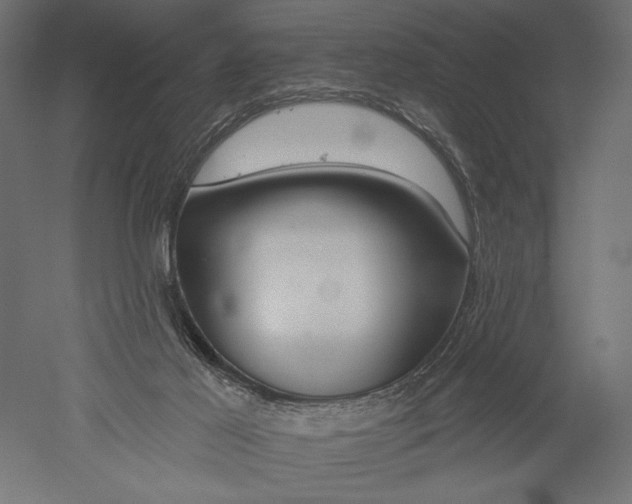 X0000051260021200507011730