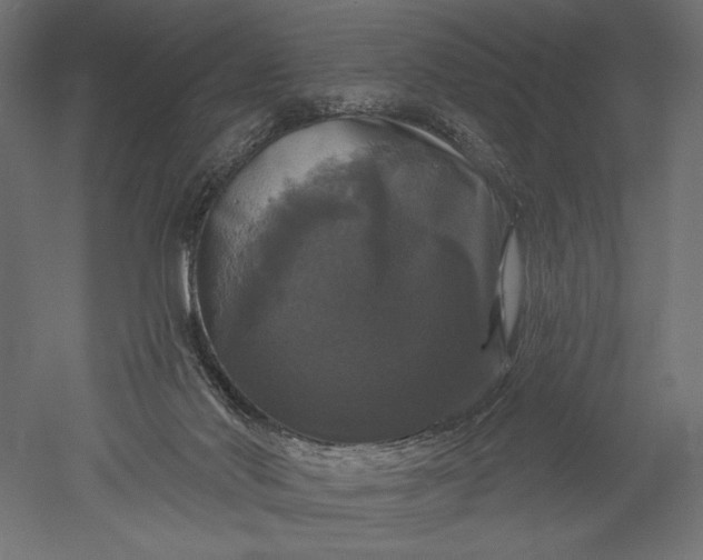 X0000051260022200507011730