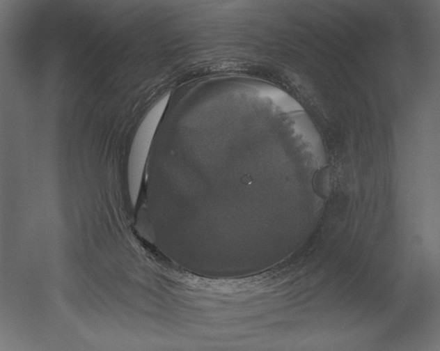 X0000051260026200507011730