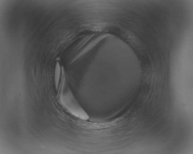 X0000051260031200507011730