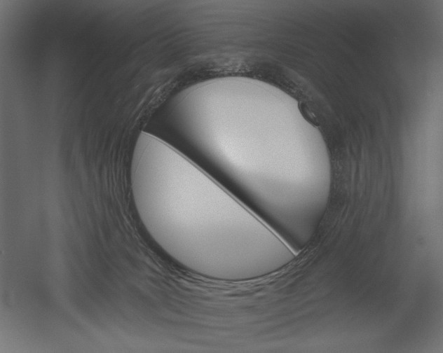 X0000051260035200507011730