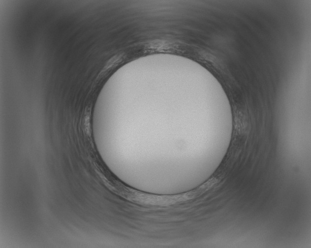 X0000051260036200507011730
