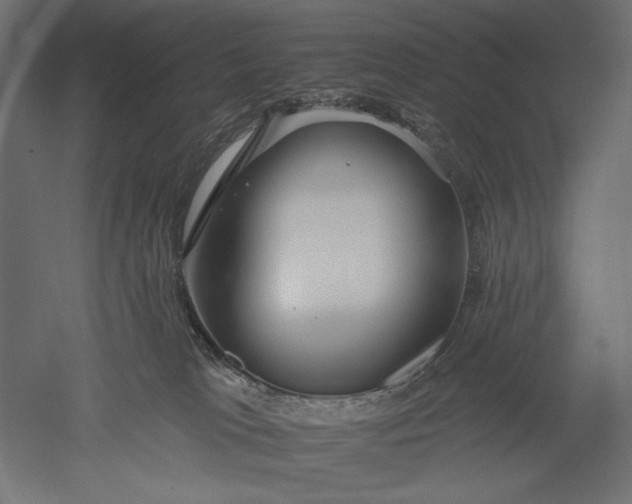 X0000051260037200507011730
