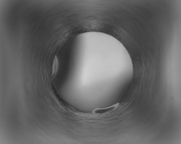 X0000051260040200507011730