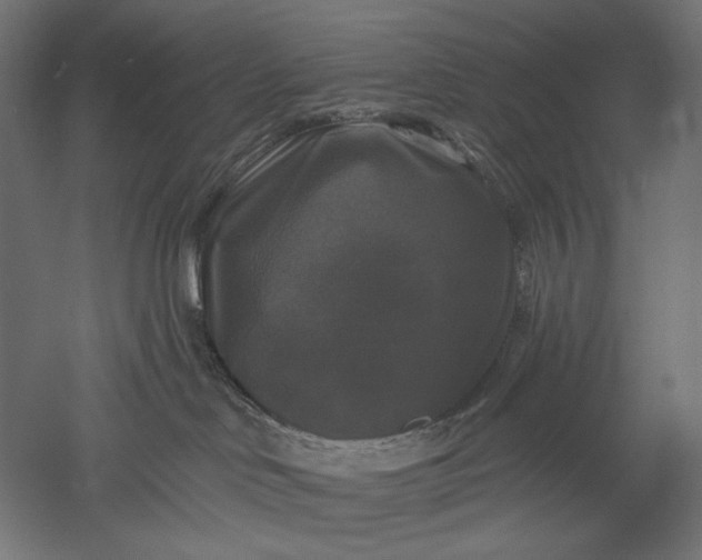 X0000051260046200507011730