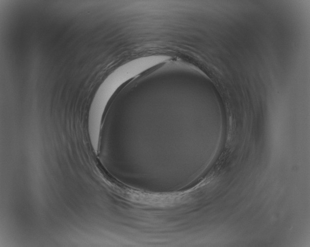 X0000051260048200507011730