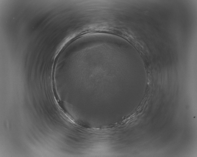X0000051260052200507011729