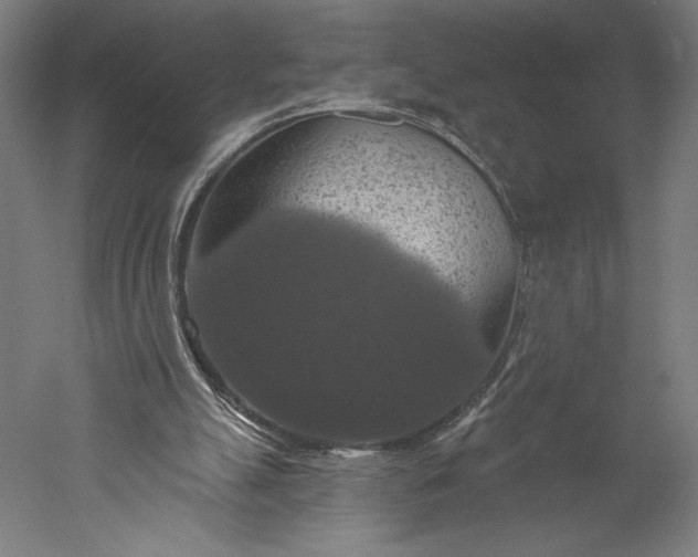 X0000051260055200507011729
