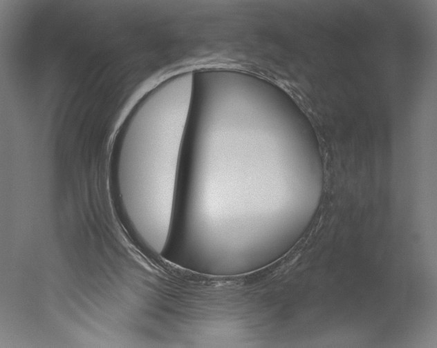 X0000051260056200507011729