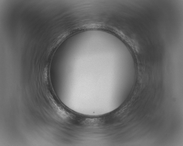 X0000051260057200507011729